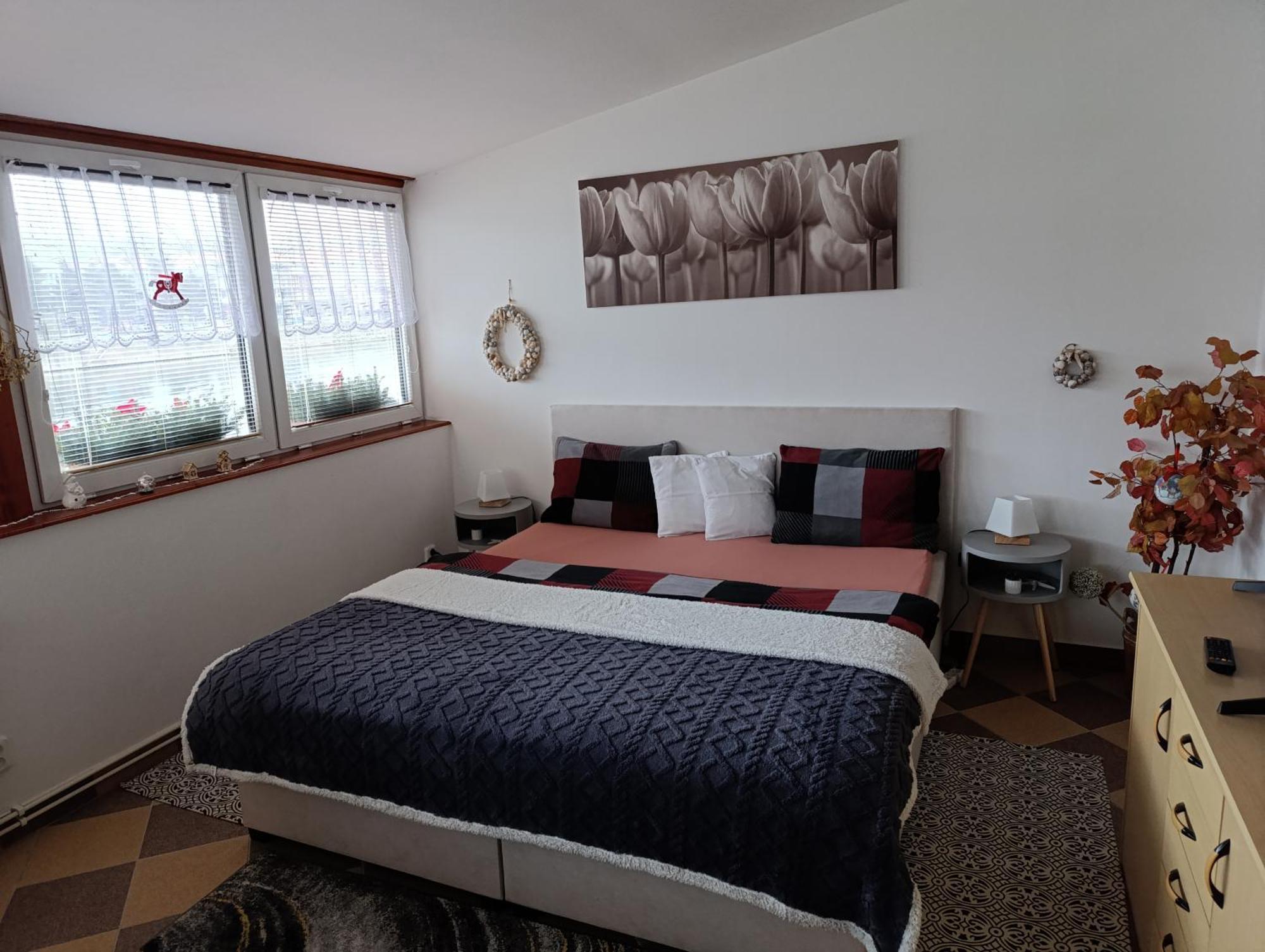 Ferienwohnung U Bocmana S Vyhledem Na Zamek A Labe Decin Exterior foto
